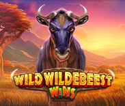 Wild Wildebeest Wins